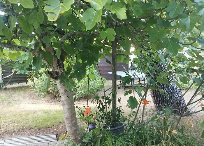 Pampounette * Saint-Brévin-lʼOcéan